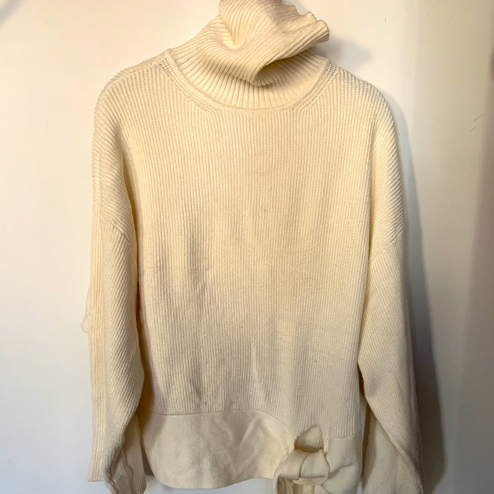 NWT Zara Knit Turtleneck